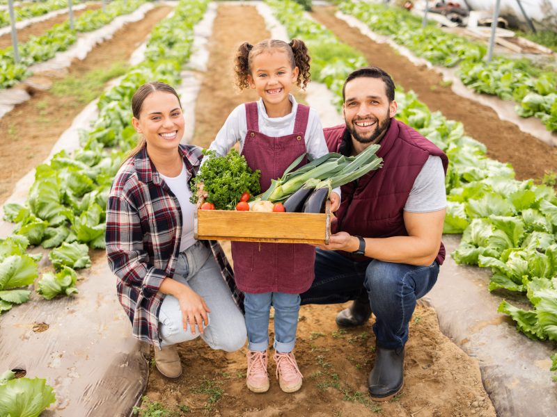 Poços artesianos garantem água durante todo o ano para agricultura familiar