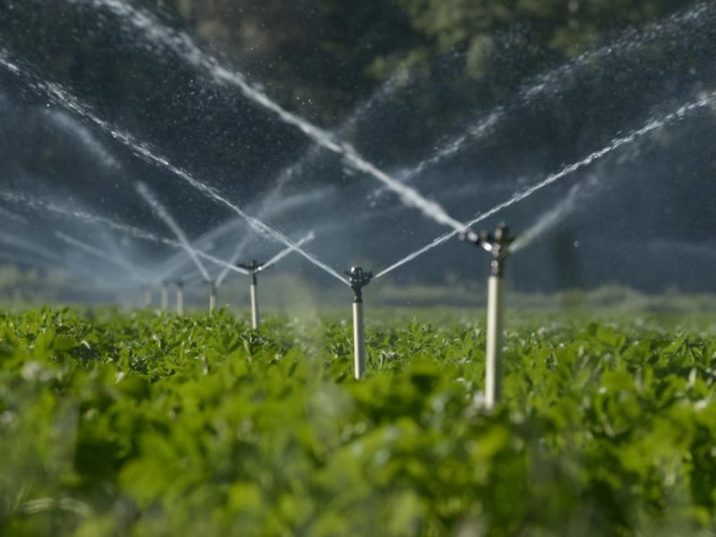 Uso de poços artesianos para alimentação de sistemas de irrigação
